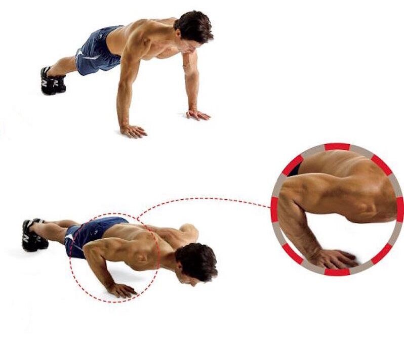 Push-ups from the floor promote strong muscles of the arms and chest
